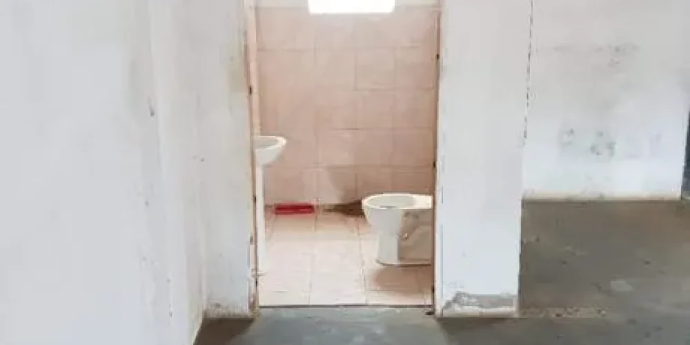 imgi_12_03