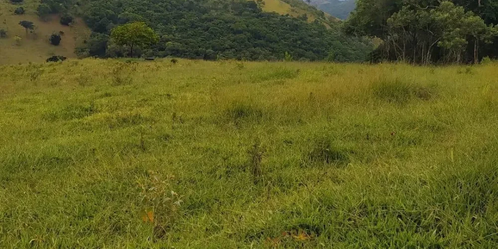 imgi_20_06