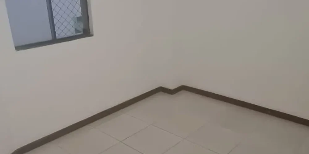 imgi_20_08