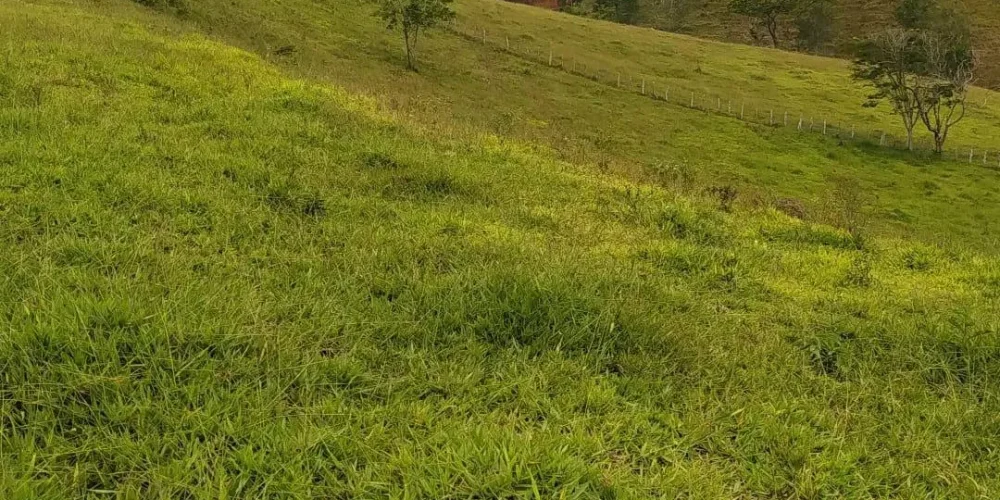 imgi_21_08