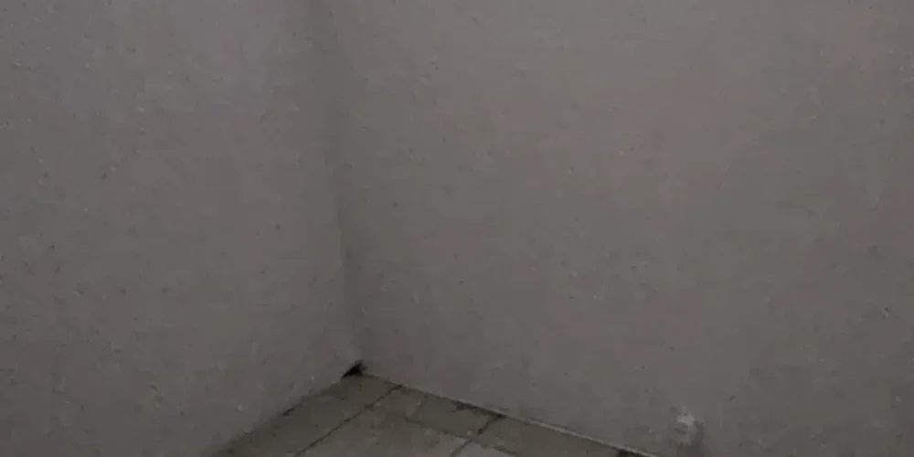imgi_35_13
