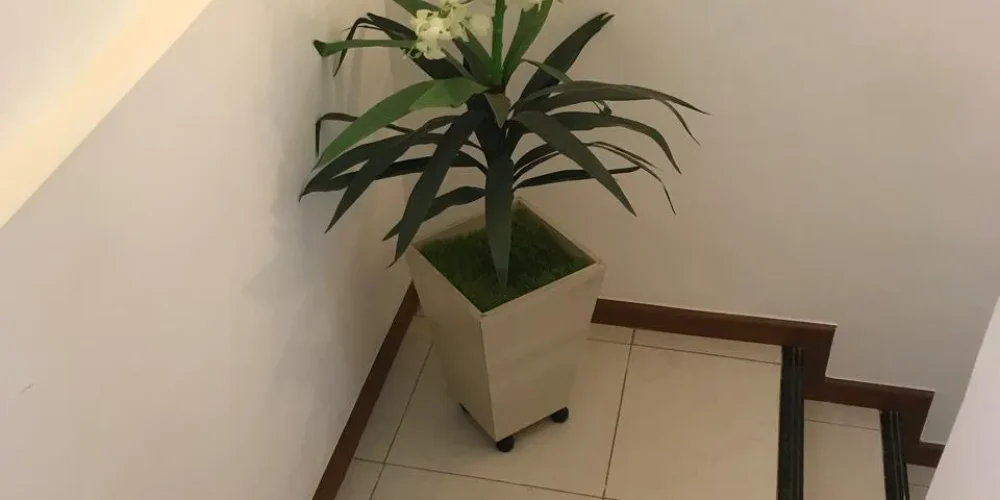 imgi_37_06