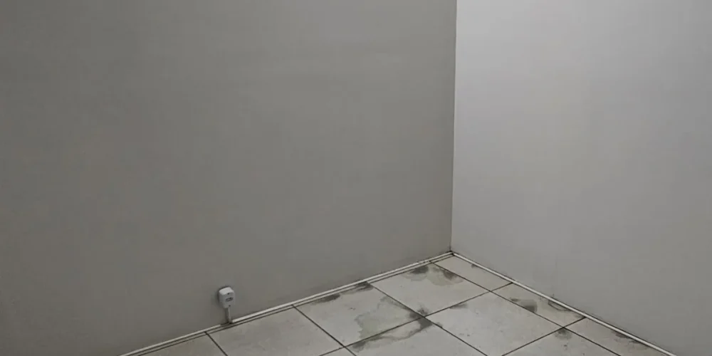 imgi_37_15