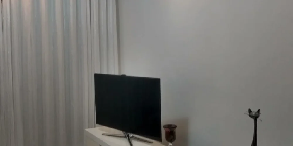 imgi_45_24