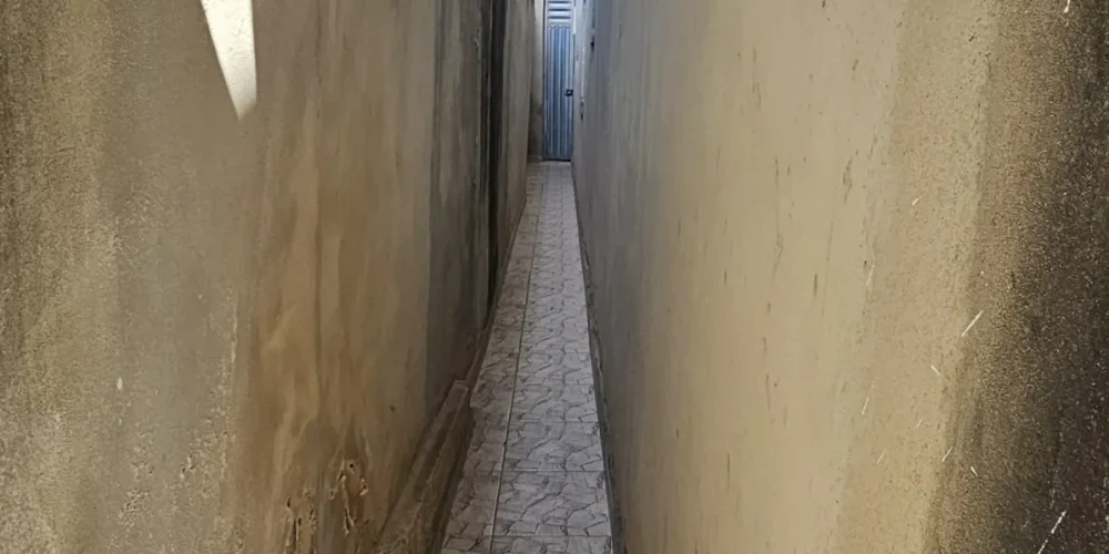 imgi_50_21